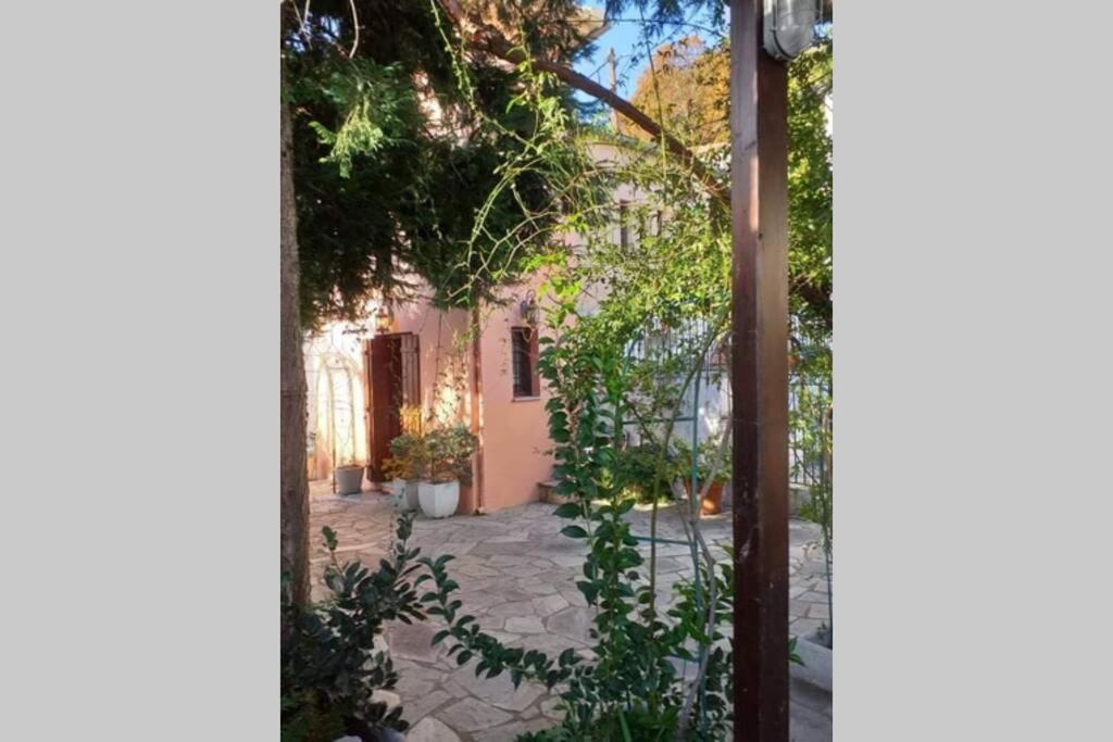 Pelion Cottage Miléai المظهر الخارجي الصورة